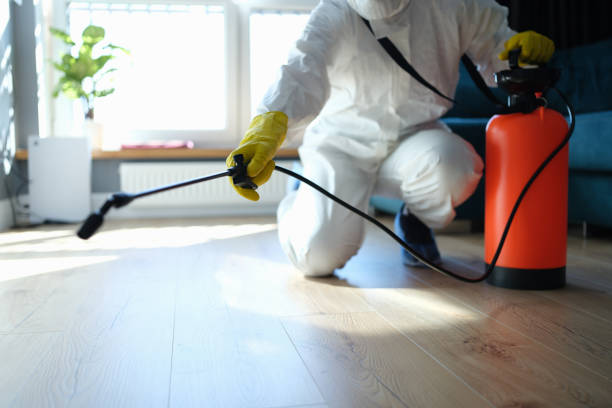 Reliable Odor Removal contractor in White Hall, IL by Trauma Clean Pros